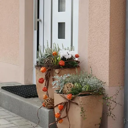 Kuschelige Nahe Lejlighed