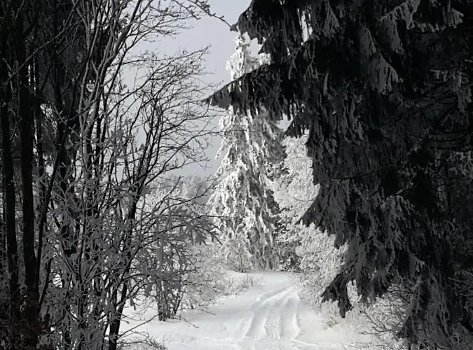 Kuschelige Nahe Apartament Kronach