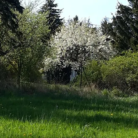 Kuschelige Nahe Appartamento Kronach