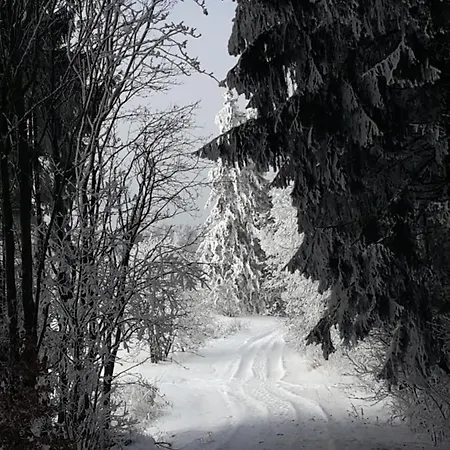 Kuschelige Nahe Appartamento Kronach