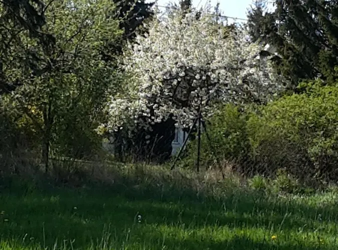 Kuschelige Nahe Appartamento Kronach